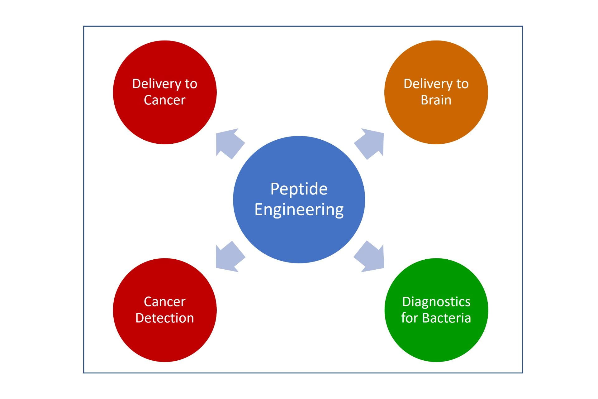 Peptide engineering